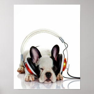 Poster Cachorro Cachorro Dormindo Inglês Bulldog Lover
