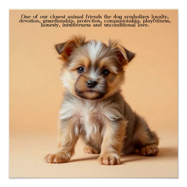 Póster Cachorro / Cãozinho (Frente)