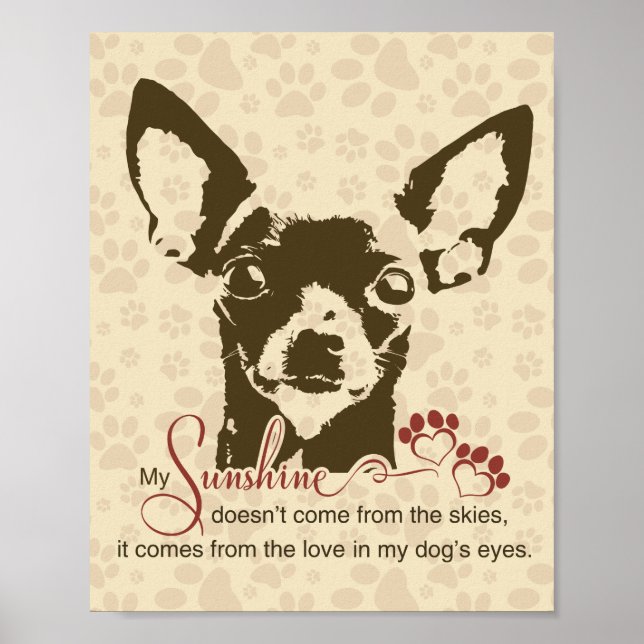 Poster Cachorro Chihuahua Meu Sol (Frente)