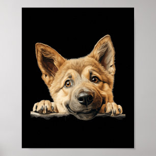 Poster Cachorro Chinook Mãe Pai Espiando Filhote
