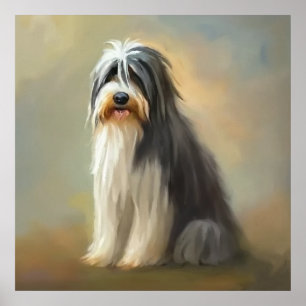 Poster Cachorro Collie