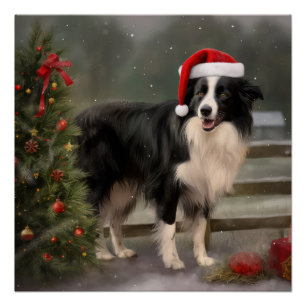 Póster Cachorro Collie Fronteira no Natal da neve