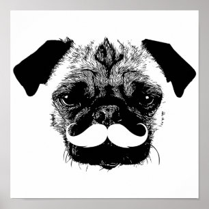 Póster Cachorro com bigode preto e branco