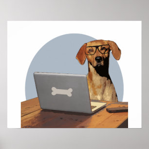 Poster Cachorro com óculos em computador e mesa