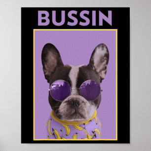 Poster Cachorro Com Pulmões Bulldog Bussin
