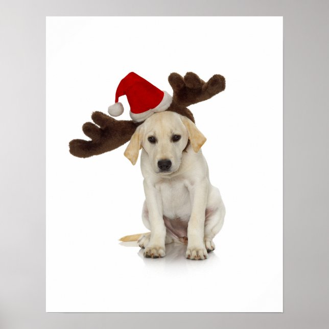 Póster Cachorro com Santa Hat e Rebeldes (Frente)