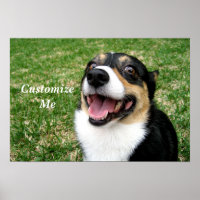 Cachorro Corgi Cujo Cachorro É Personalizado