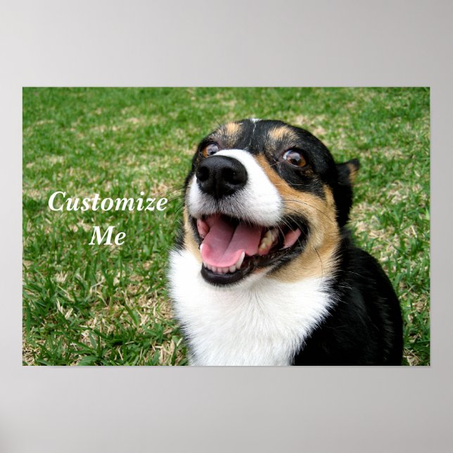 Poster Cachorro Corgi Cujo Cachorro É Personalizado (Frente)