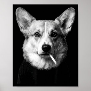 Poster Cachorro corgi engraçado fumando meme cachorro fum