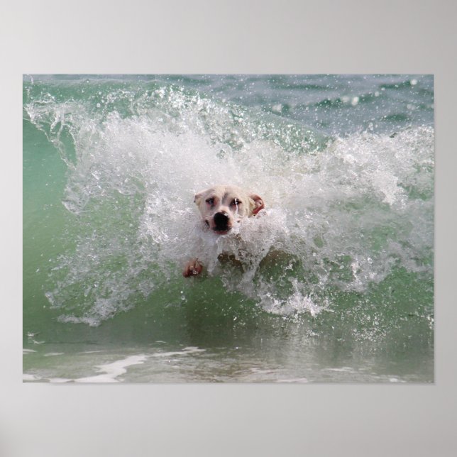 Poster Cachorro correndo pela Onda Oceânica, Surf, Praia (Frente)