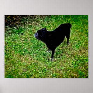Poster Cachorro Curioso em Fibras Brilhantes sobre Preto