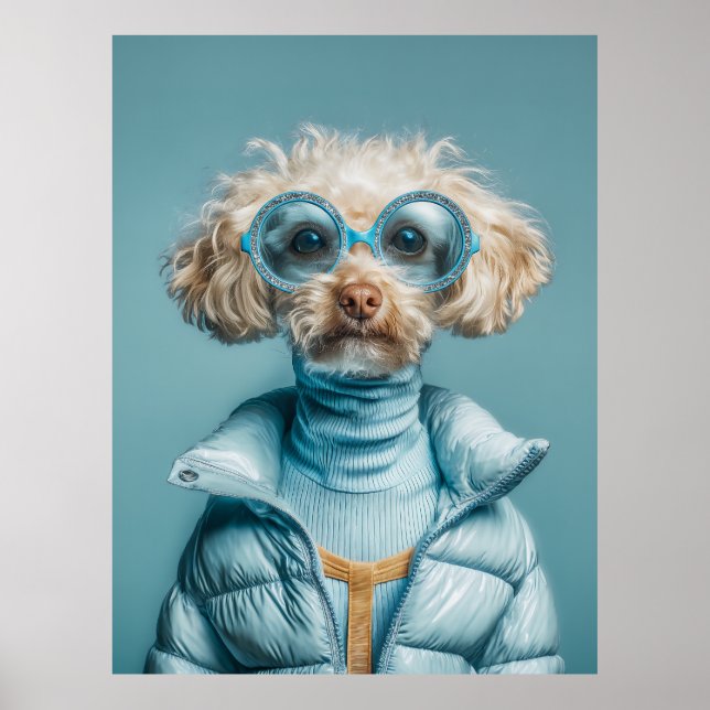 Poster Cachorro da Moda com Roupa Azul (Frente)