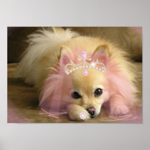 Póster cachorro da princesa fada com coroa de diamante