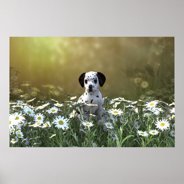 Poster Cachorro Dalmaciano em Daisies (Frente)