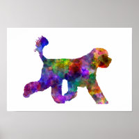 Cachorro de Água em Português