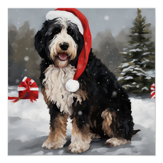 Póster Cachorro de Bernedoodle no Natal da Neve (Frente)