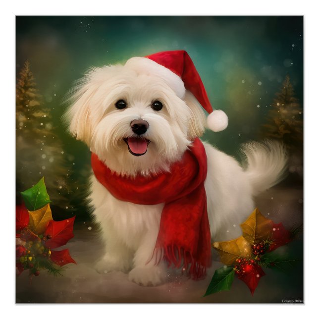 Póster Cachorro de Coton de Tulear no Natal da Neve (Frente)