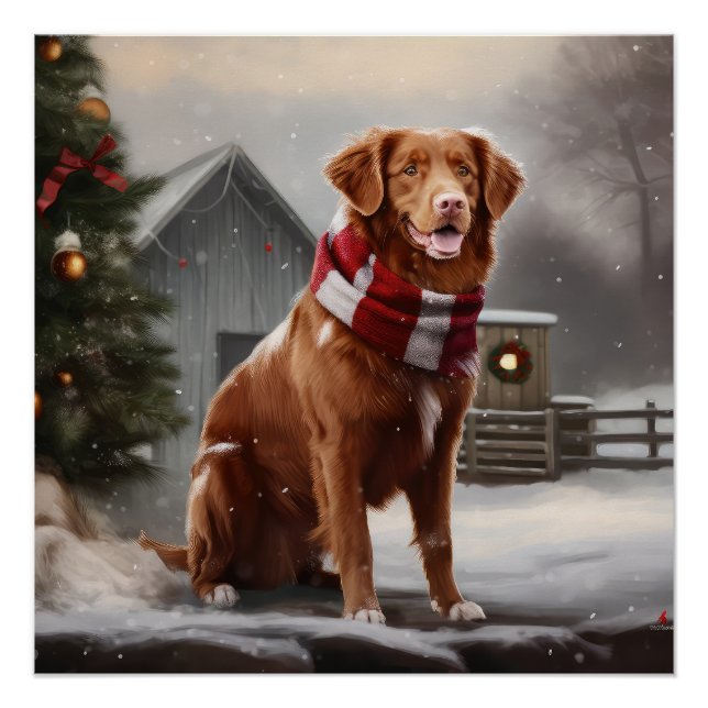 Póster Cachorro de Duck Toller na Nova Escócia no Natal d (Frente)