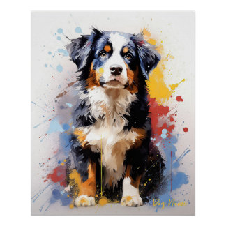 Póster Cachorro de Montanha Bernese Super Bonito 005 - Xe