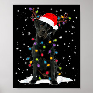 Poster Cachorro de pijama com luz de árvore de Natal Labr