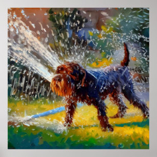 Poster Cachorro de Ponteiro Wirehaired Alemão