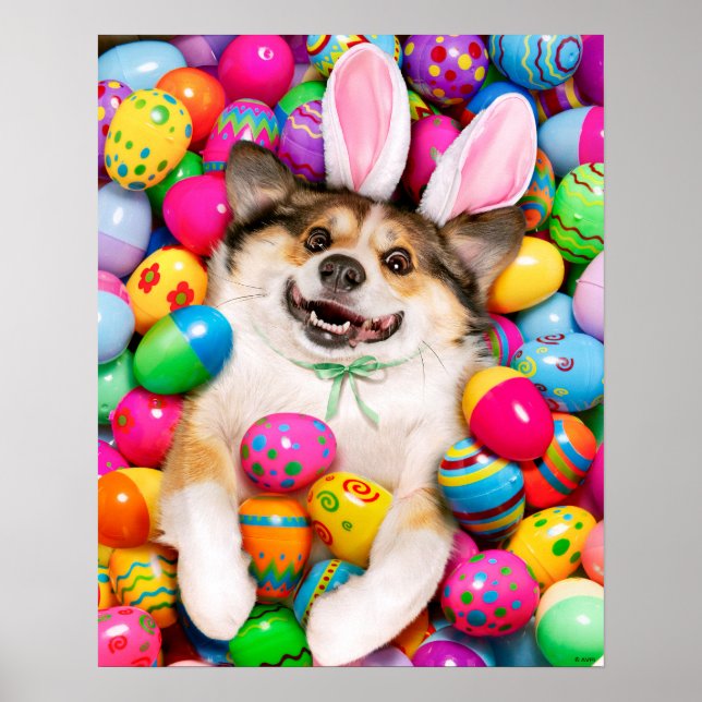 Poster Cachorro deitado em ovos de Páscoa (Frente)