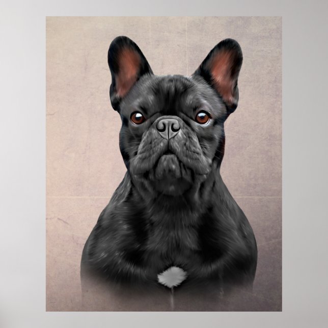 Poster Cachorro desenhado (Frente)