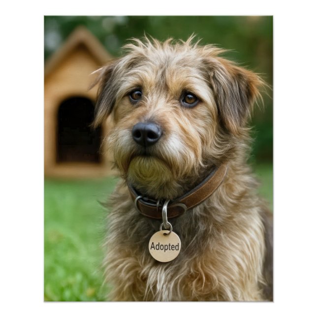 Póster Cachorro Desgrenhado Adotado Com Casa de Cachorro (Frente)
