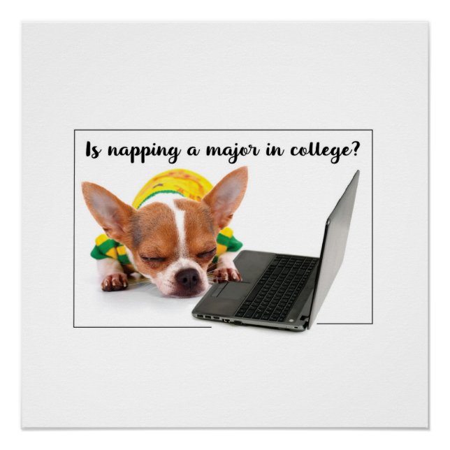 Póster Cachorro Engraçado Dormindo no Computador Laptop (Frente)