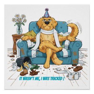 Póster Cachorro Engraçado Golden Retriever Bagunçado Aniv