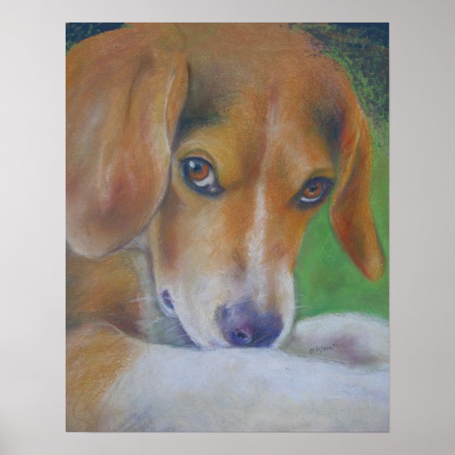 Póster Cachorro Esparvo: Olhos (Frente)