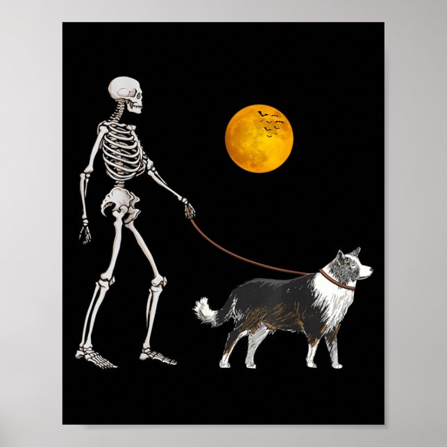 Poster Cachorro Esqueleto Border Collie Caminhando no Hal (Frente)