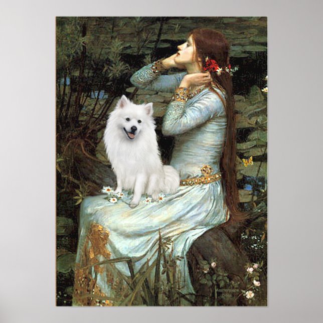 Póster Cachorro Esquimó Americano - Ophelia Seated (Frente)