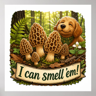 Poster Cachorro Feliz Cheirando Cogumelos Morel - Amor pe