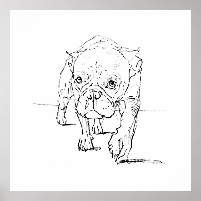 Poster Cachorro francês fofo, Ilustração de cachorro (Frente)