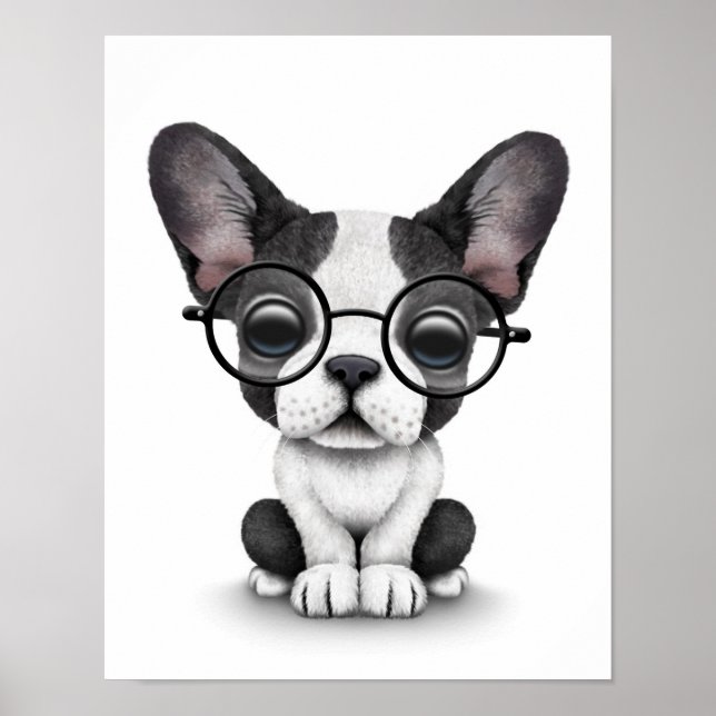 Póster Cachorro francês giro com óculos, branco (Frente)