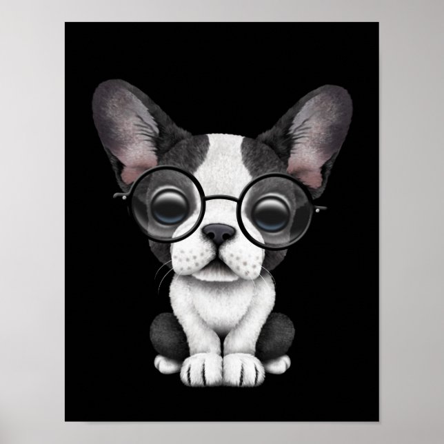 Poster Cachorro francês giro com óculos, preto (Frente)