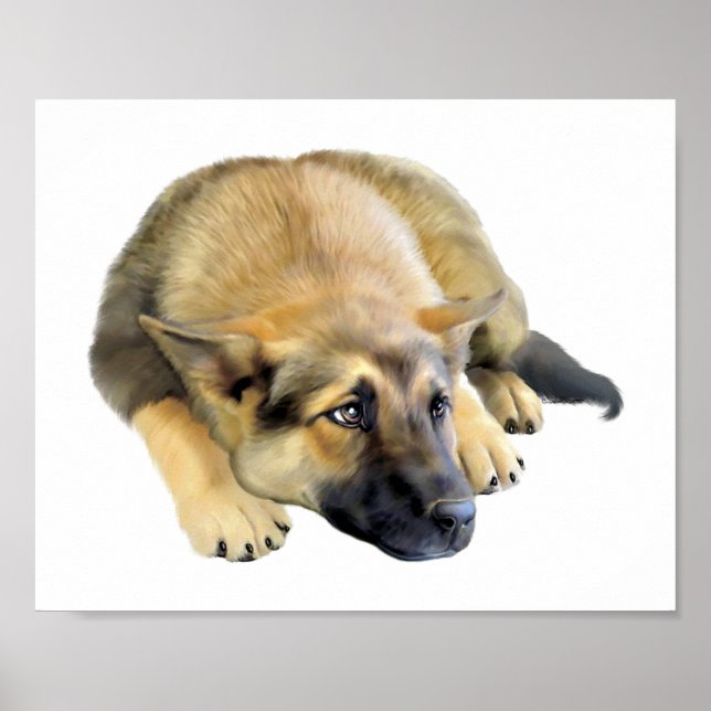 Póster Cachorro german shepherd (Frente)