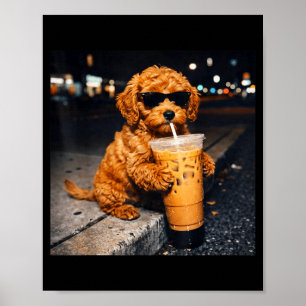 Poster Cachorro goldendoodle bebendo café gelado animal e