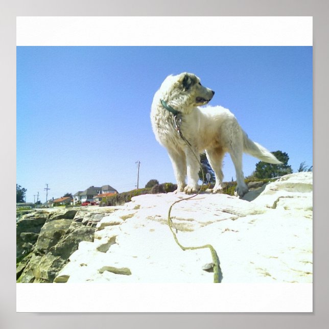 Póster Cachorro Grande (Frente)