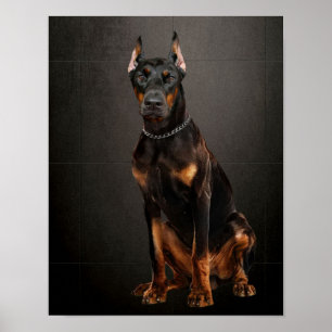 Poster Cachorro Guarda Fiável Doberman