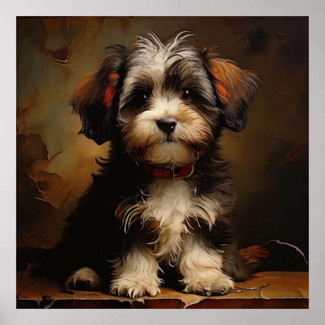 Poster Cachorro Havanês Puppy Realism Square Retrait (Frente)