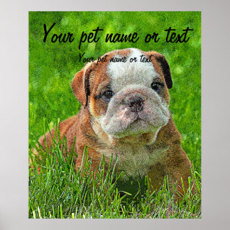 Poster Cachorro Inglês Puppy no Prado