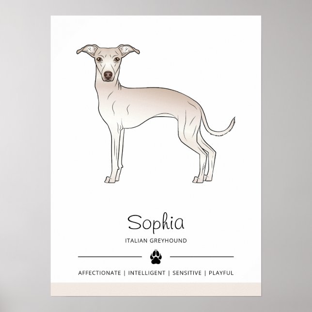 Poster Cachorro Italiano Greyhound Fofo Com Texto Persona (Frente)