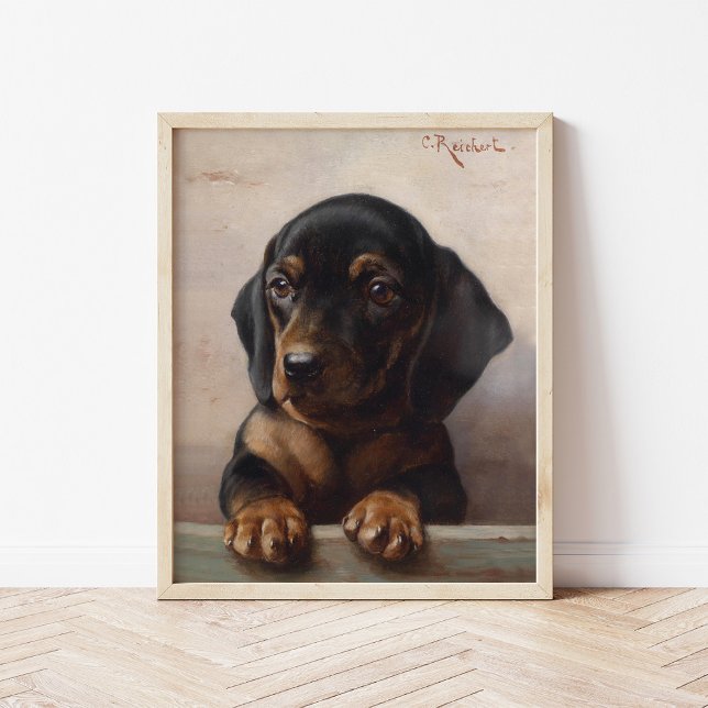 Poster Cachorro jovem da raça Dachshund | Carl Reichert (Criador carregado)