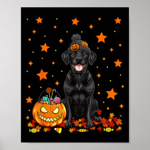 Poster Cachorro Labrador Preto e Doce de Abóbora Engraçad