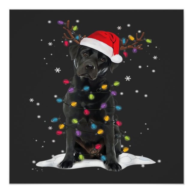 Póster Cachorro Labrador Preto Luz da Árvore de Natal do  (Frente)