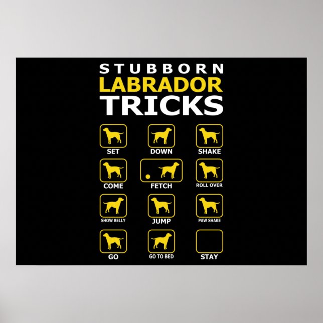 Poster Cachorro Labrador Tubarão Engraçado (Frente)