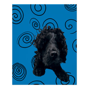 Póster Cachorro Louco