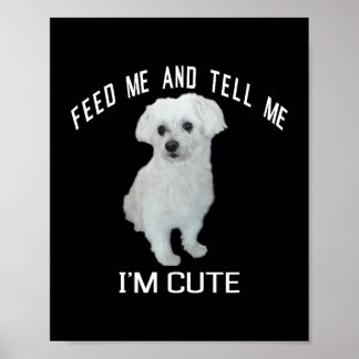 Poster Cachorro Maltês Cachorro Maltês Engraçado Cotação 